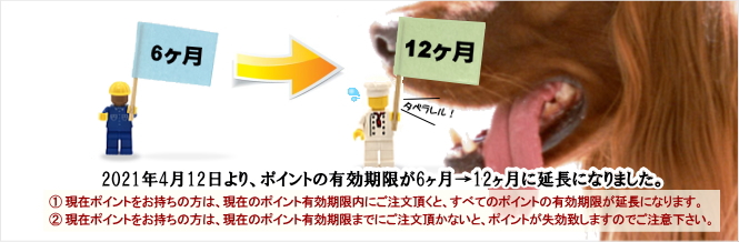 犬のおやつ専門店ペットロジー 国産の材料を使い国内で製造した純国産の無添加おやつを販売 愛犬の体にやさしい食べ物をご提供します