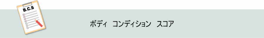 愛犬の肥満度チェック