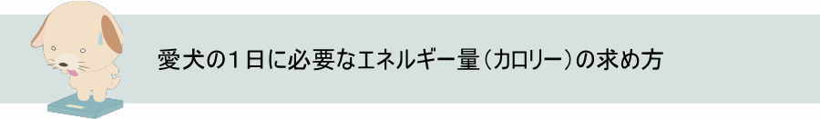 犬の体格に合わせたエネルギー要求量の計算方法