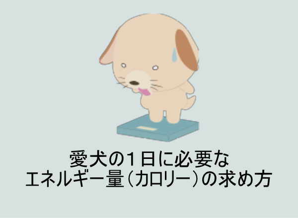 犬の体格に合わせたエネルギー要求量の計算方法