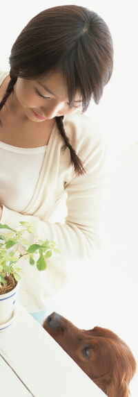 犬のヒゲの役割