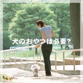 犬のおやつは必要？