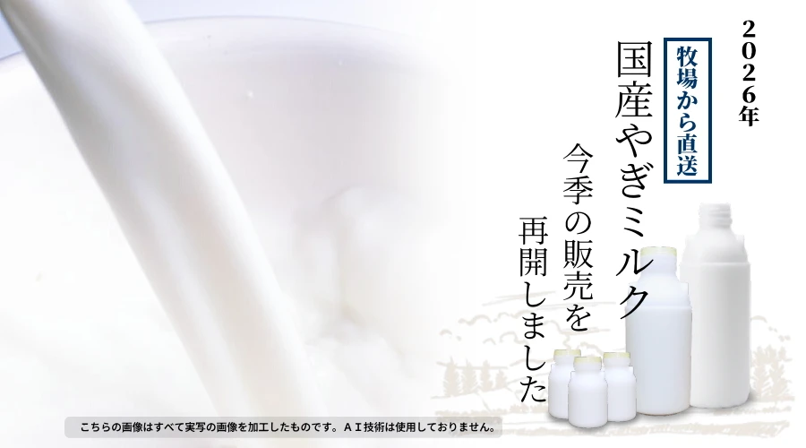 ヤギミルク、今季の販売が始まりました