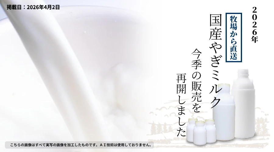 ヤギミルク、今季の販売が始まりました