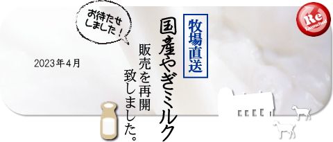 国産やぎミルク　販売を再開しました 