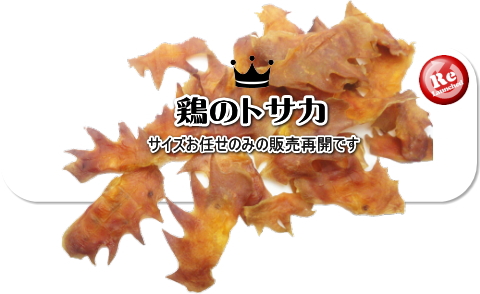 【販売再開】鶏のトサカ（サイズお任せ）│ペットロジー　犬のおやつ