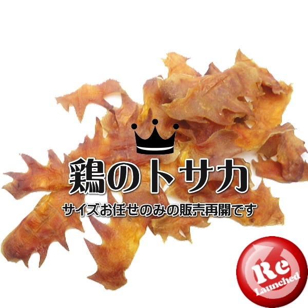 販売再開キャンペーン　鶏のトサカ（サイズお任せ）│ペットロジー（犬のおやつ）