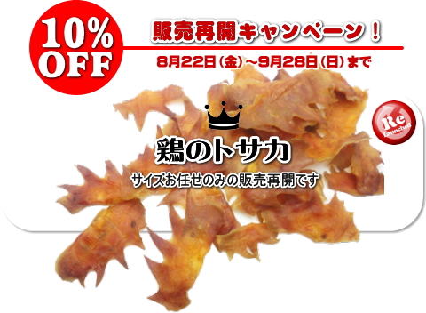【販売再開キャンペーン】鶏のトサカ（サイズお任せ）│ペットロジー　犬のおやつ