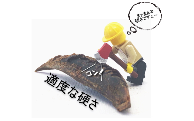 ソウダカツオ パームサイズ 詳細１