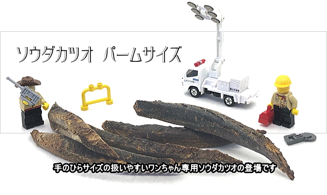 ソウダカツオ パームサイズ　タイトル