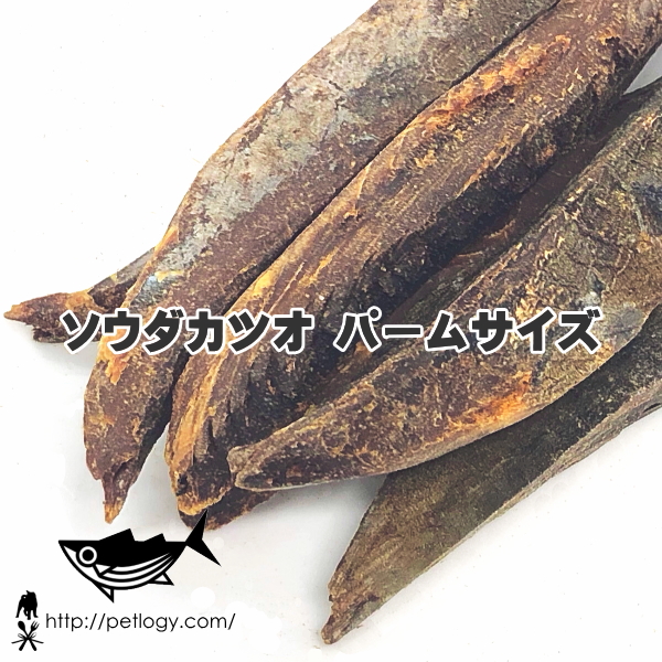 ソウダカツオ パームサイズ