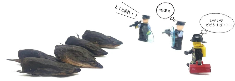 無添加 国産 HAN-SUKEジャーキー（ウナギの頭のジャーキー）│犬用おやつ