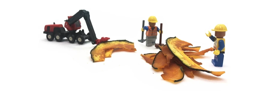 国産野菜チップス かぼちゃドライ│犬の野菜おやつ