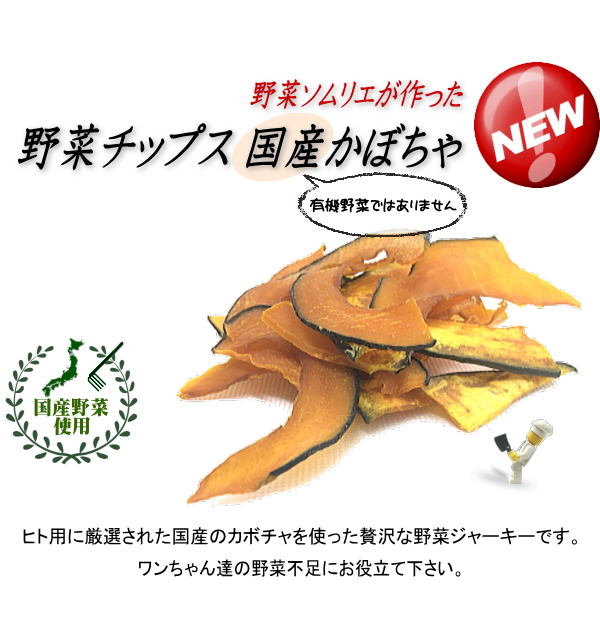 野菜チップス 国産かぼちゃドライ(犬のおやつ)新発売
