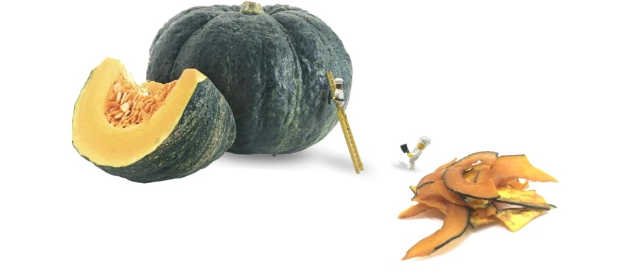 国産野菜チップス かぼちゃドライ│犬の野菜おやつ