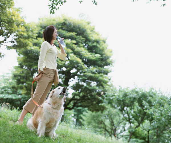 資格取得のイメージ画像（モバイル用）