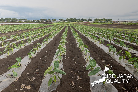 国産の材料から作り出される純国産のおやつ