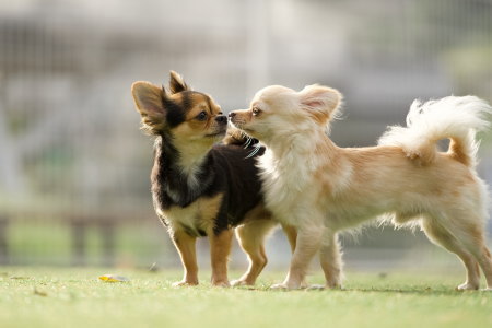 おやつにだからこそできること